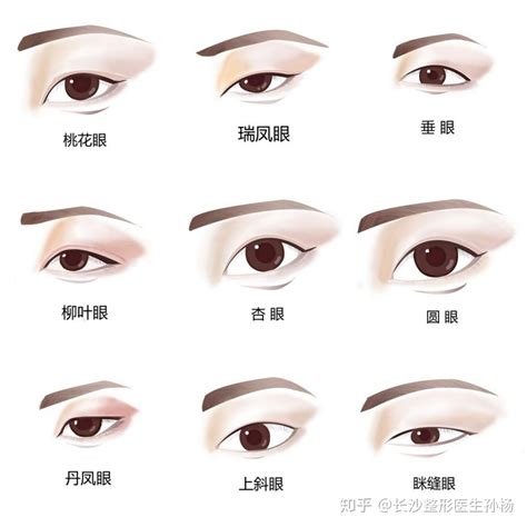 眼睛形状|带你们认识各种眼型 (丹凤眼、杏眼、桃花眼)